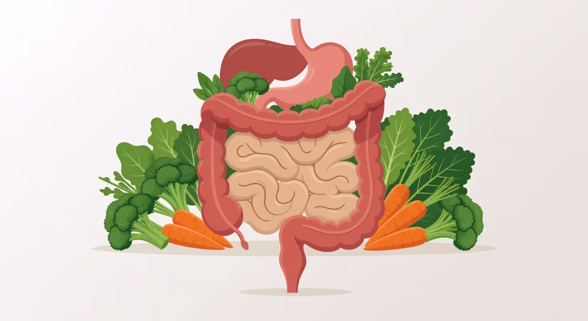 Colon Detox Guide for Beginners